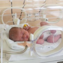 Premature,Newborn,Baby,In,The,Hospital,Incubator.,Neonatal,Intensive,Care